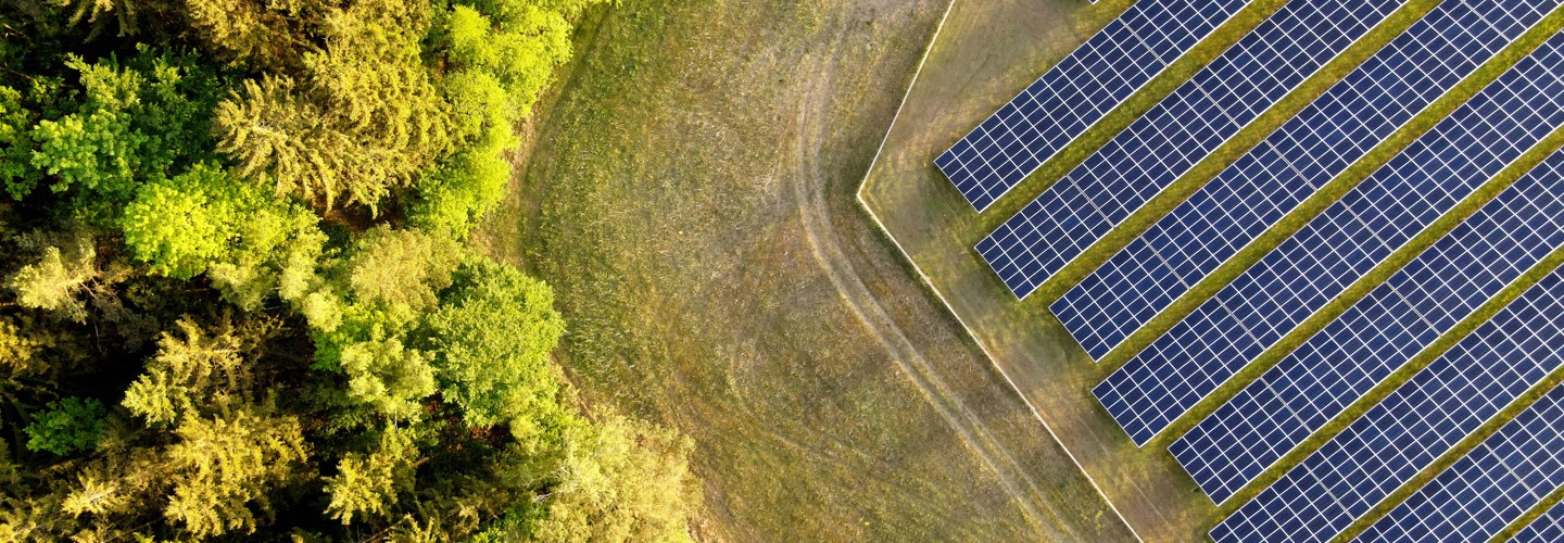 Forest & Solar Panels