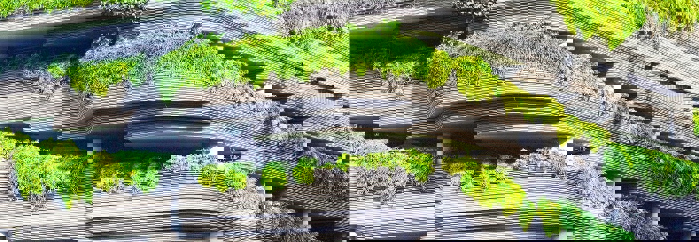 Green Building Danist Soh