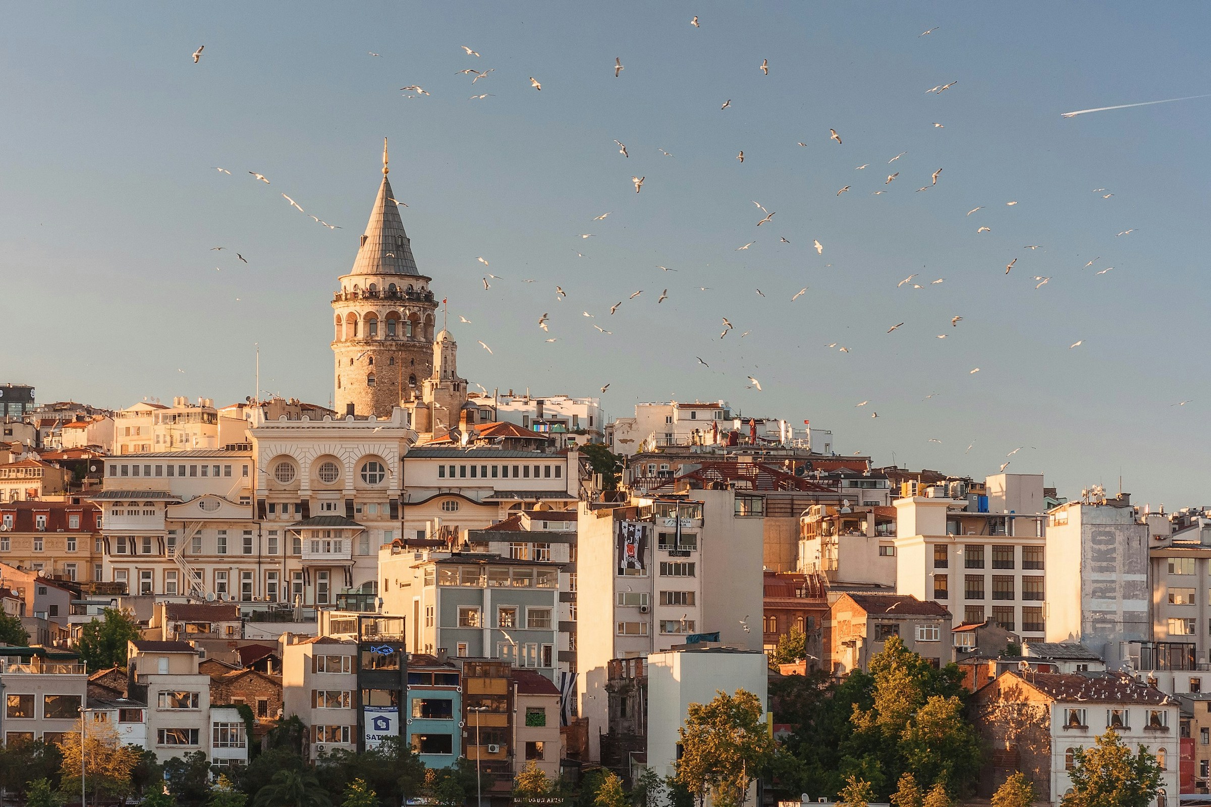 Galata Tower Istanbul Anna Berdnik