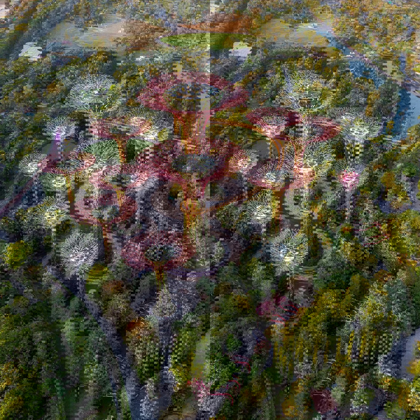 Singapore Gardens By The Bay Sergio Sala