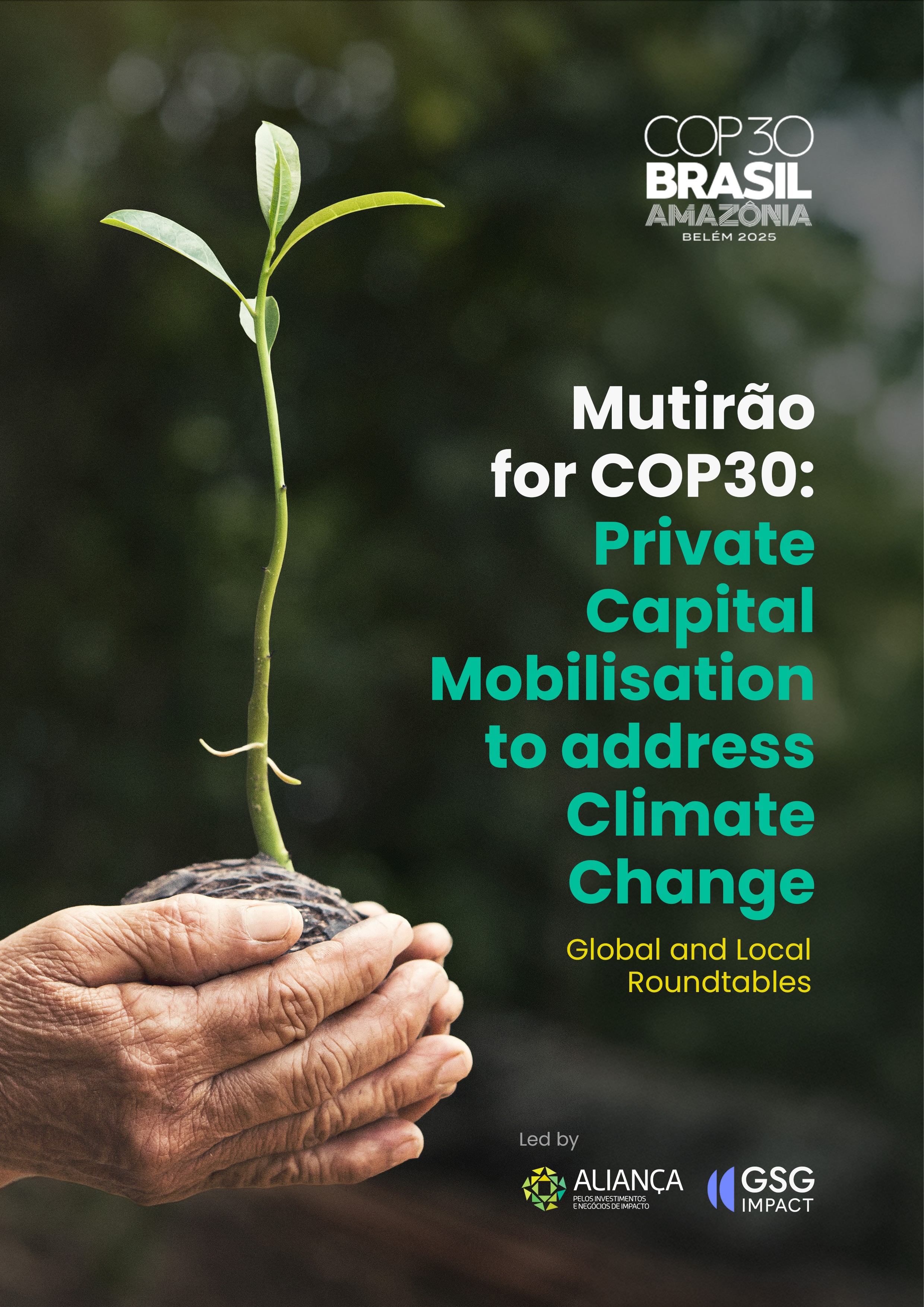 Mutirão For COP30 Private Capital Mobilisatioto Address Climate Change