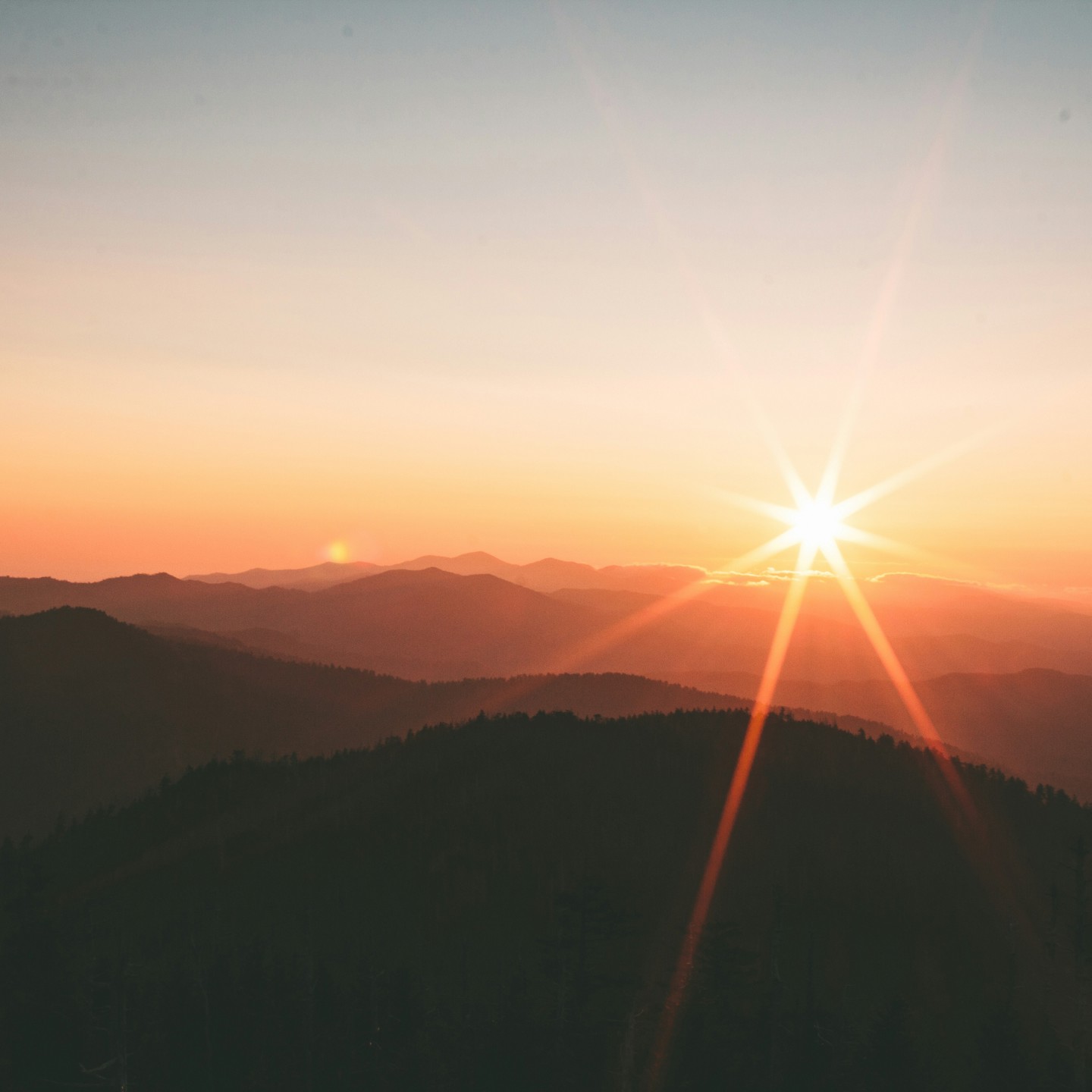 Ivana Cajina Dqejx2ucpbs Unsplash